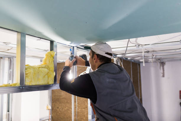 Best Residential Insulation in Willowbrook, CA