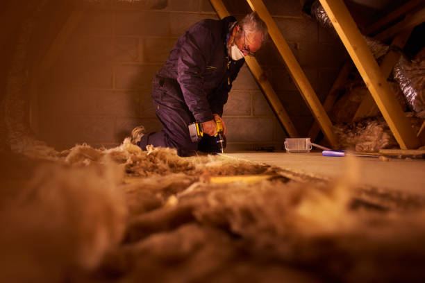 Best Commercial Insulation in Willowbrook, CA